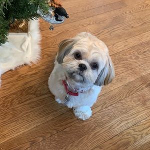 Meet your Posher, Yariza